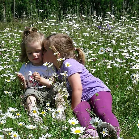 Gasthof Untere Valentinalm Locanda