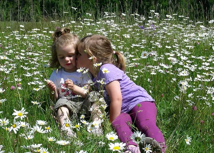 Gasthof Untere Valentinalm Värdshus